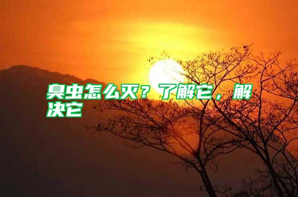 臭蟲怎么滅？了解它，解決它