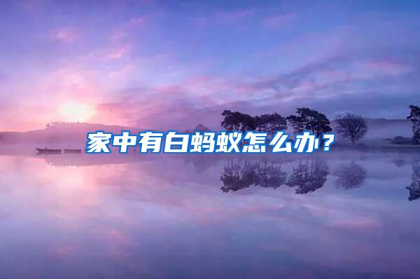 家中有白螞蟻怎么辦?