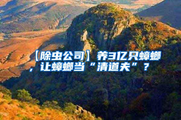 【除蟲(chóng)公司】養(yǎng)3億只蟑螂,讓蟑螂當(dāng)“清道夫”?