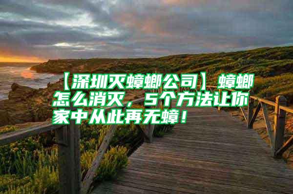 【深圳滅蟑螂公司】蟑螂怎么消滅,5個方法讓你家中從此再無蟑!