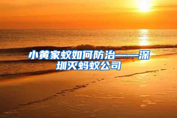 小黃家蟻如何防治——深圳滅螞蟻公司