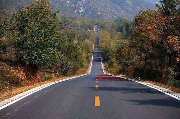 大眾點(diǎn)評(píng)外賣里吃出蟑螂 飯店老板給吃了