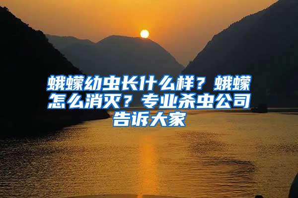 蛾蠓幼蟲(chóng)長(zhǎng)什么樣?蛾蠓怎么消滅?專業(yè)殺蟲(chóng)公司告訴大家