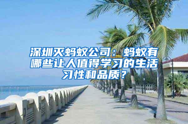 深圳滅螞蟻公司:螞蟻有哪些讓人值得學(xué)習(xí)的生活習(xí)性和品質(zhì)?